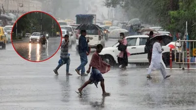 ગુજરાતમાં મેઘરાજાની ધમાકેદાર બેટિંગ શરુ  છેલ્લા 24 કલાકમાં રાજ્યમાં પડ્યો ભારેથી અતિભારે વરસાદ