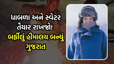 ધાબળા અને સ્વેટર તૈયાર રાખજો  બર્ફીલું હીમાલય બન્યું ગુજરાત  નલિયામાં 11 4 ડિગ્રી સાથે સૌથી ઠંડુગાર