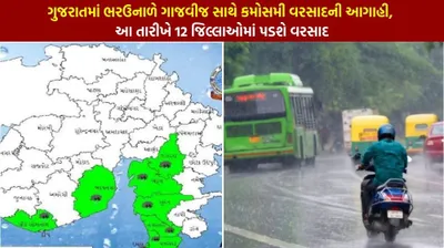 ગુજરાતમાં ભરઉનાળે ગાજવીજ સાથે કમોસમી વરસાદની આગાહી  આ તારીખે 12 જિલ્લાઓમાં પડશે વરસાદ