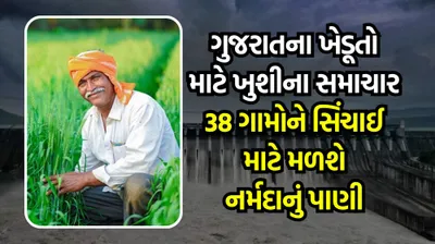 ગુજરાતના આ જિલ્લાના ખેડૂતો માટે ખુશીના સમાચાર  38 ગામોને સિંચાઈ માટે મળશે નર્મદાનું પાણી