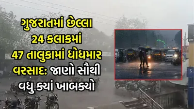 ગુજરાતમાં છેલ્લા 24 કલાકમાં 47 તાલુકામાં ધોધમાર વરસાદ  જાણો સૌથી વધુ ક્યાં ખાબક્યો