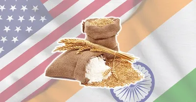 એક સમયે ઘઉં માટે ભારતને  ભિખારીઓનો દેશ  કહેનારું અમેરિકા આજે ભારત પાસે માંગી રહ્યું છે ઘઉંની ભીખ