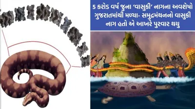 5 કરોડ વર્ષ જુના અને મહાકાય ‘વાસુકી’ નાગના અવશેષો ગુજરાતમાંથી મળ્યા  વિજ્ઞાને પણ તેના અસ્તિત્વની કરી પુષ્ટિ