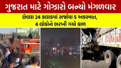 ગુજરાત માટે ગોઝારો બન્યો મંગળવાર  છેલ્લા 24 કલાકમાં સર્જાયા 5 અકસ્માત  4 લોકોને ભરખી ગયો કાળ