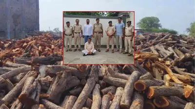 ‘પુષ્પા’ સ્ટાઈલમાં ગુજરાતનાં જંગલોમાંથી ખેરનાં લાકડાં ચોરી કરવાના રેકેટનો પર્દાફાશ  5 કરોડનાં લાકડાં કર્યા સગેવગે