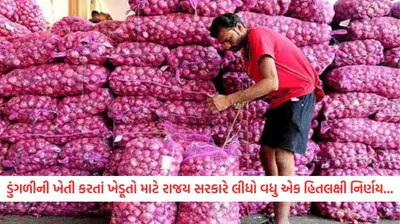 ગુજરાતના ડુંગળી પકવતા ખેડૂતો માટે સરકારનો મોટો નિર્ણય  તૈયાર કર્યો માસ્ટર પ્લાન  હવે કંટ્રોલમાં રહેશે ભાવ