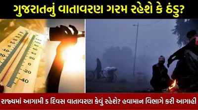 ગુજરાતનું વાતાવરણ ગરમ રહેશે કે ઠંડુ  રાજ્યમાં આગામી 5 દિવસ વાતાવરણ કેવું રહેશે  હવામાન વિભાગે કરી આગાહી