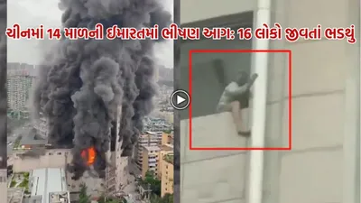 ચીનમાં 14 માળની ઈમારતમાં ભીષણ આગ  16 લોકો થયા બળીને ભડથું  જુઓ વિડીયો
