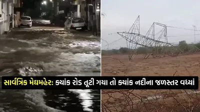 ગુજરાતમાં સાર્વત્રિક મેઘમહેર  ક્યાંક રોડ તૂટી ગયા તો ક્યાંક નદીના જળસ્તર વધ્યાં અને વિજપોલ ધરાશાયી