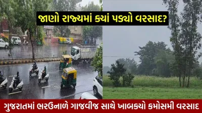 ગુજરાતમાં ભરઉનાળે ગાજવીજ સાથે ખાબક્યો કમોસમી વરસાદ  જાણો રાજ્યમાં ક્યાં પડ્યો વરસાદ 