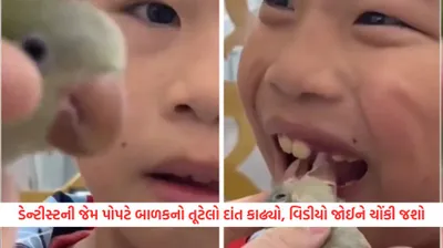 ડેન્ટીસ્ટની જેમ પોપટે બાળકનો તૂટેલો દાંત કાઢ્યો  વિશ્વાસ ન હોય તો જુઆ આ video   