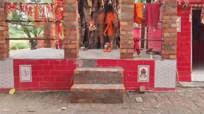આ મંદિરના ઝાડ પર બિરાજમાન છે હનુમાનજી  ચુંદરી બાંધવાથી થાય છે દરેક મનોકામના પૂરી 