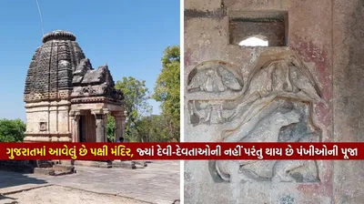 ગુજરાતમાં આવેલું છે પક્ષી મંદિર  જ્યાં દેવી દેવતાઓની નહીં પરંતુ થાય છે પંખીઓની પૂજા  લોકોની માનતા પણ થાય છે પૂર્ણ
