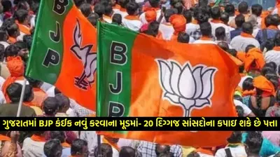 ગુજરાતમાં bjp કંઈક નવું કરવાના મૂડમાં  20 દિગ્ગજ સાંસદોના કપાઇ શકે છે પત્તા  અમિત શાહ આ શહેરની બેઠક પરથી ચૂંટણી લડશે