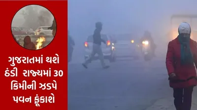 ગુજરાતમાં થશે ઠંડી બેકાબુ  કાતિલ ઠંડીનો વધુ એક રાઉન્ડ  રાજ્યમાં 30 કિમીની ઝડપે પવન ફૂંકાશે