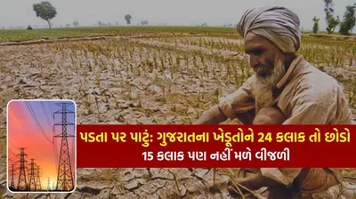 પડતા પર પાટું  ગુજરાતના ખેડૂતોને 24 કલાક તો છોડો 15 કલાક પણ નહીં મળે વીજળી  વિધાનસભામાં ખુદ સરકારે કરી કબૂલાત
