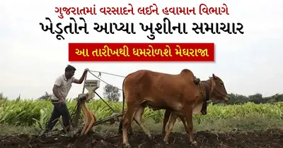 ગુજરાતમાં વરસાદને લઈને હવામાન વિભાગે ખેડૂતોને આપ્યા ખુશીના સમાચાર  આ તારીખથી ધમરોળશે મેઘરાજા