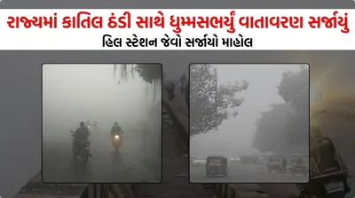 સિઝનમાં પહેલી વખત ગુજરાતની ધરતી પર પથરાઈ વાદળની ચાદર  રાજ્યમાં કાતિલ ઠંડી સાથે ધુમ્મસભર્યું સર્જાયું વાતાવરણ  હિલ સ્ટેશન જેવો સર્જાયો માહોલ