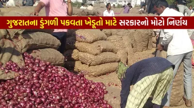 ગુજરાતના ડુંગળી પકવતા ખેડૂતો માટે સરકારનો મોટો નિર્ણય  આટલા લાખ ટન ડુંગળીના નિકાસને લીલીઝંડી