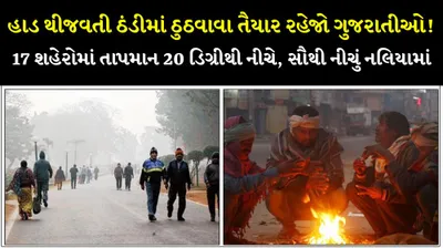 હાડ થીજવતી ઠંડીમાં ઠુઠવાવા તૈયાર રહેજો ગુજરાતીઓ  17 શહેરોમાં તાપમાન 20 ડિગ્રીથી નીચે  સૌથી નીચું નલિયામાં