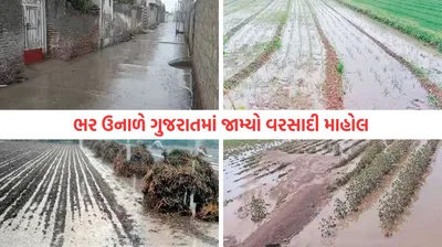 ઉતર ગુજરાતના જિલ્લાઓમાં ભારે પવન સાથે વરસાદની એન્ટ્રી  પાકને નુકસાનની ભીતિ  ખેડૂતો ચિંતત